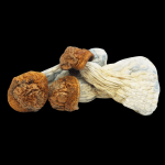 Gold Member Magic Mushrooms